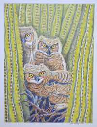 Cactus Owls