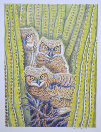 Cactus Owls
