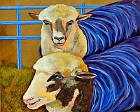 sheep4tn