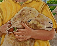sheep5tn