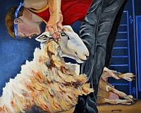 sheep6tn